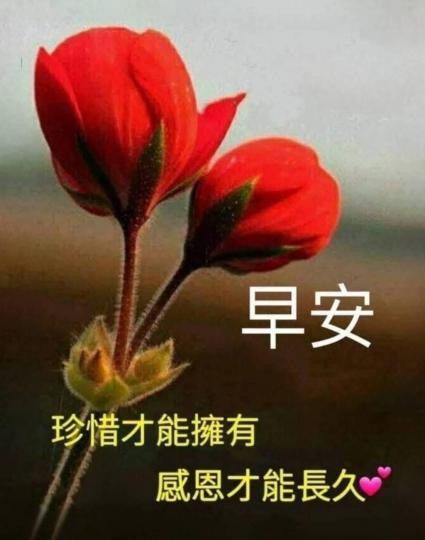 mmexport1747378003047