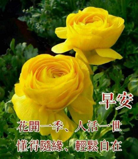 IMG-20211017-WA0003