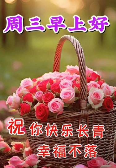IMG-20250107-WA0002