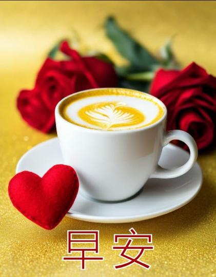 IMG-20250326-WA0011