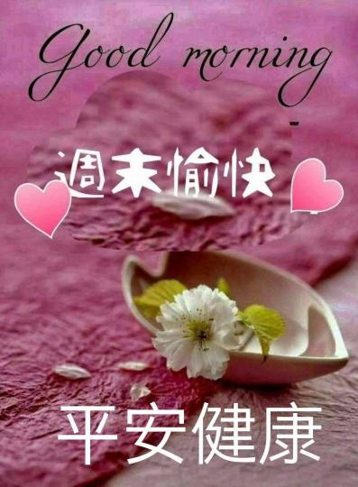 IMG-20250405-WA0002