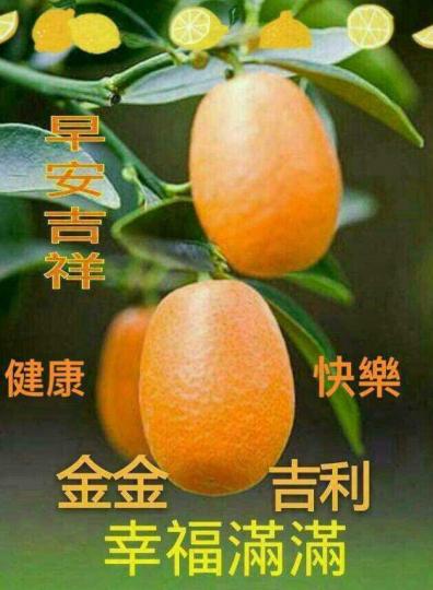 IMG-20250526-WA0007