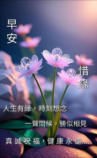 IMG-20250529-WA0000
