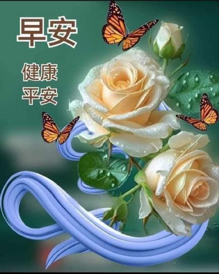 IMG-20250701-WA0013