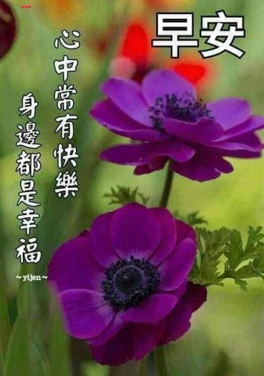 IMG_20250515_175030