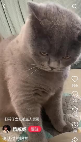 1000007250