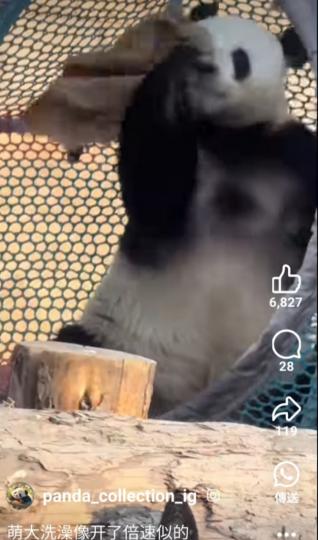 1000009124