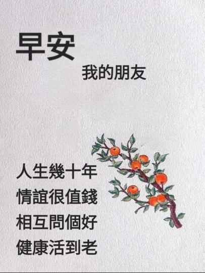 1000022782