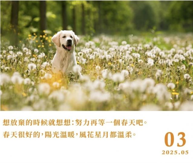 1000053759