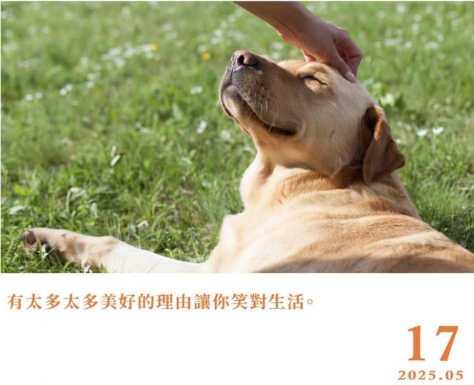 1000056255