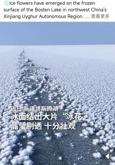 1000105315