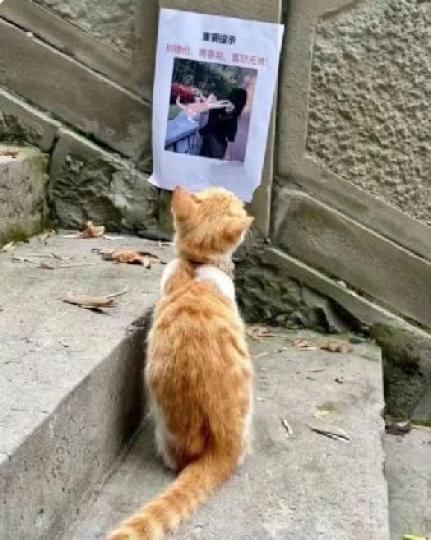 15972