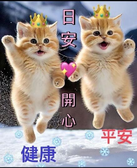 16765