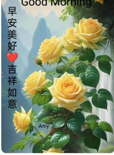 38CA2EE3-D19A-48C7-91D1-6562451CC5B9-29151-000003A80678B293