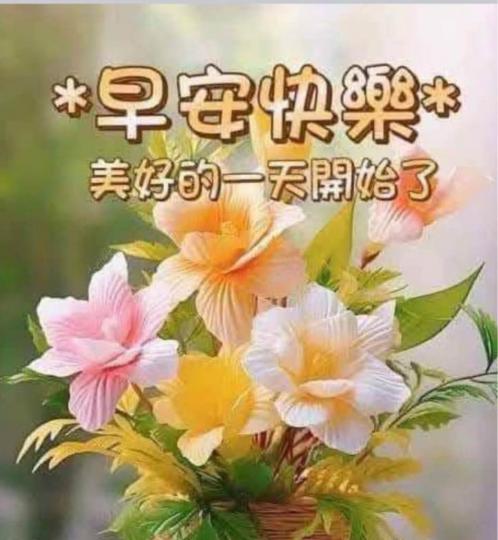 5EBC423B-A86D-4610-8504-2B8F69B4E549-45422-000005D2F8B298BA