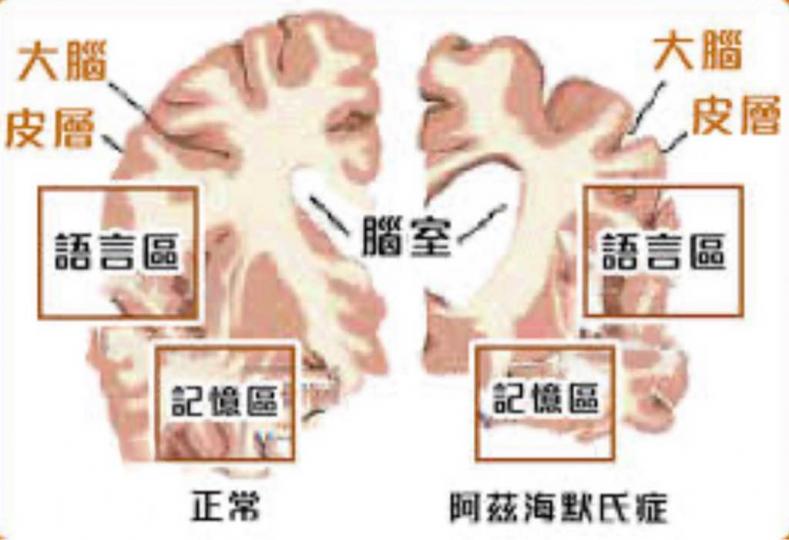 C32F12FE-1286-4528-BA6B-6812F44DF181-4683-0000005EBDB5B009