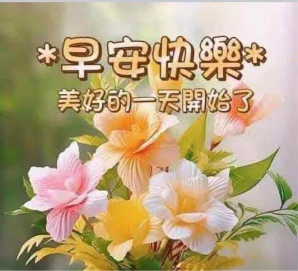 CD3FD8AD-E83F-497C-B332-11DF93FABE3B-28868-000003C19D60B85A