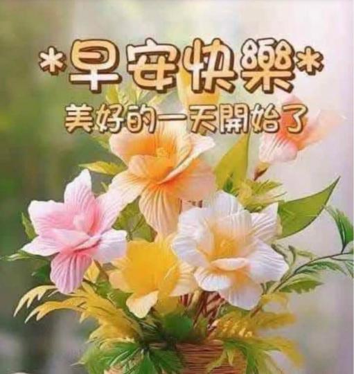 FB657900-4B0D-4870-860F-46222DCD48BB-41841-00000963B1946C99