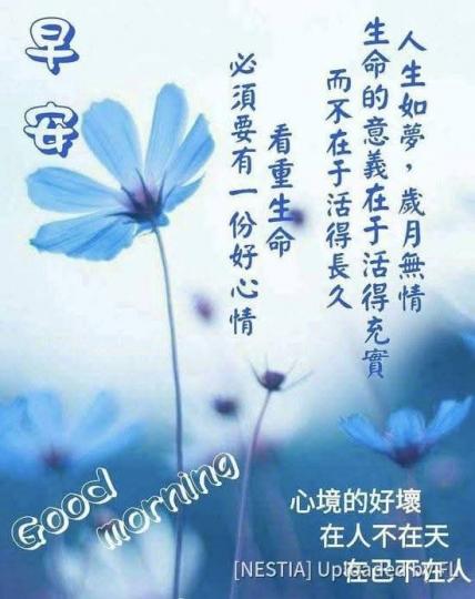 b68830a5-de98-4fd3-a4f9-116a57a06df4-1_all_23101