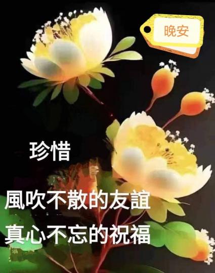 b68830a5-de98-4fd3-a4f9-116a57a06df4-1_all_25248