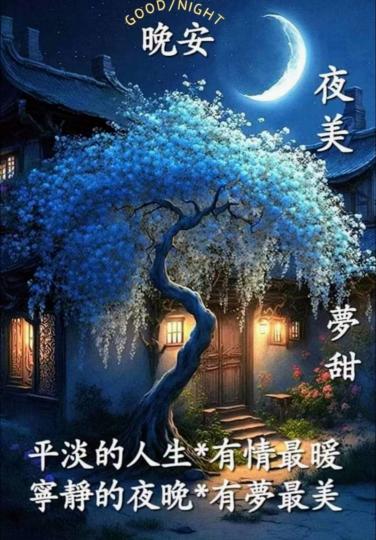 image%3A1000027554_1
