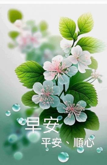image%3A1000039989