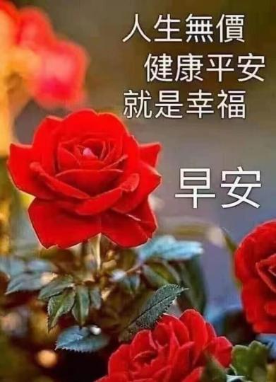 image%3A1000043012