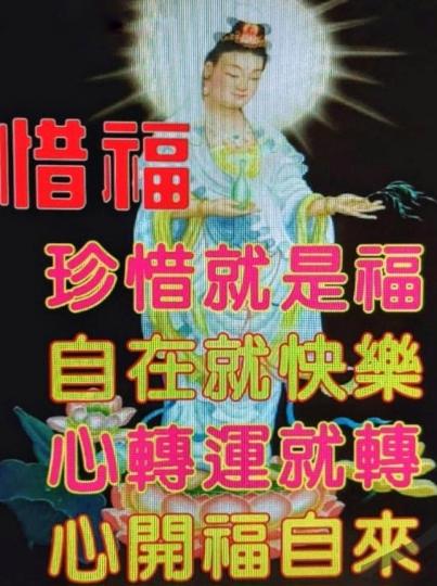 image%3A1000045163_1