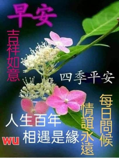 image%3A1000056695