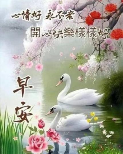 image%3A1000058435