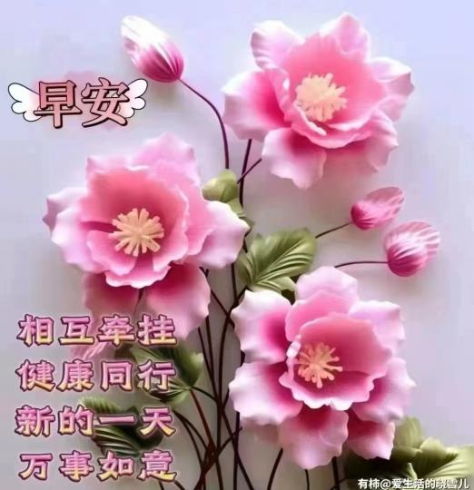image%3A1000058504