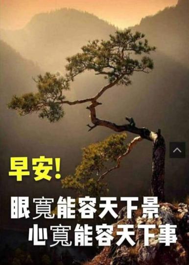 image%3A1000061127