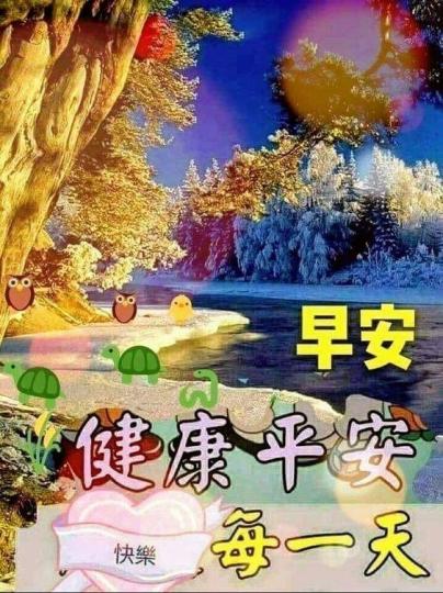 image%3A100062