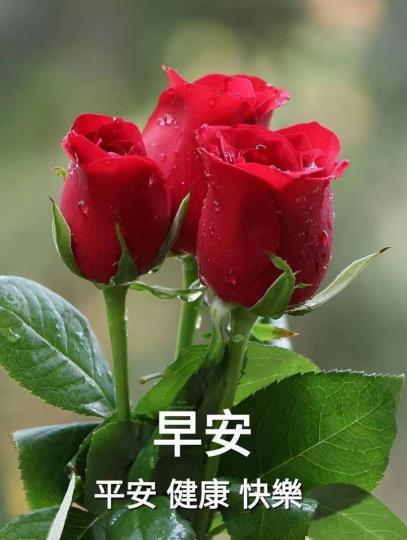 image%3A200660