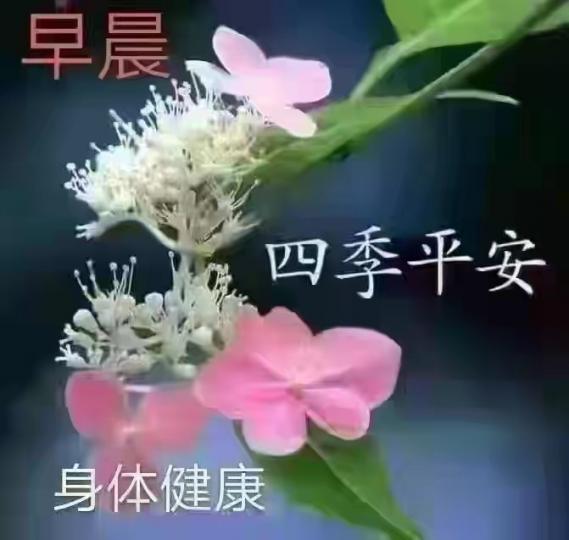 image%3A200676