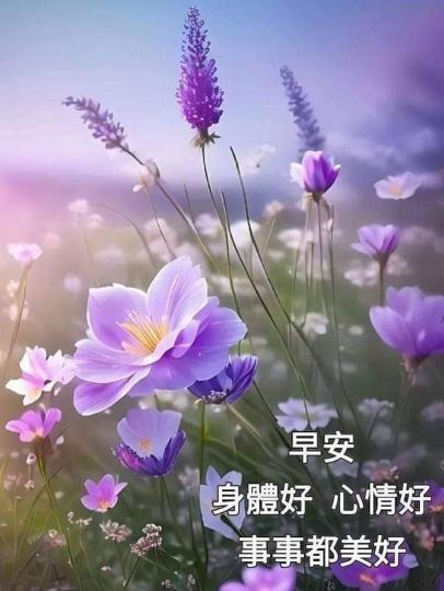 image%3A200720