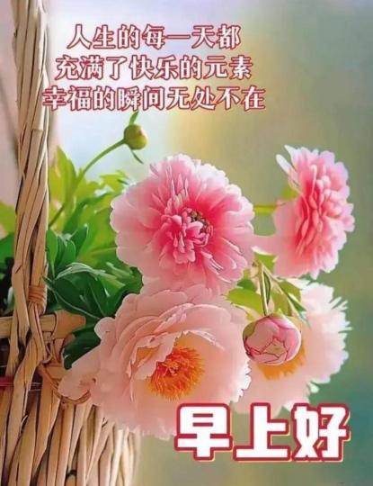 image%3A200736