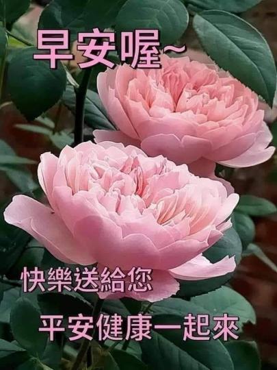image%3A201279_0