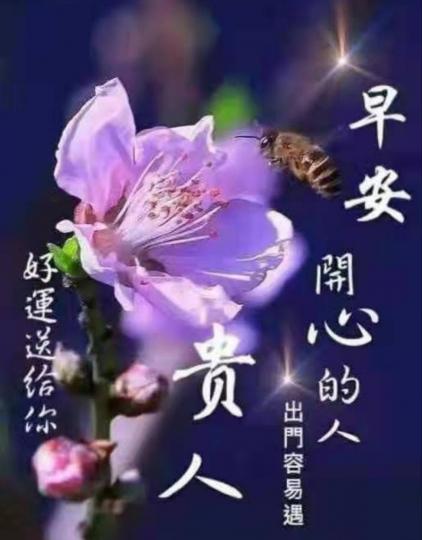 image%3A47181