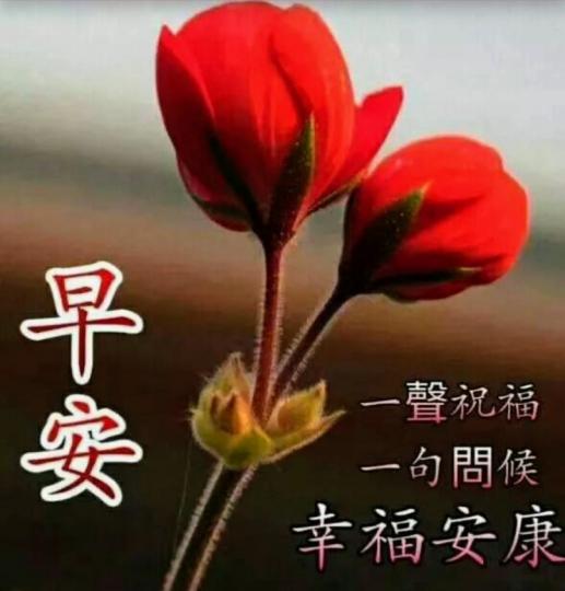 image%3A48673