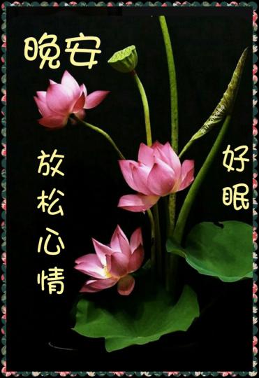 image%3A50493_0