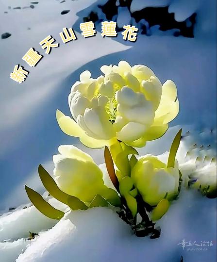 image%3A53869