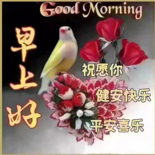 image%3A55909_1