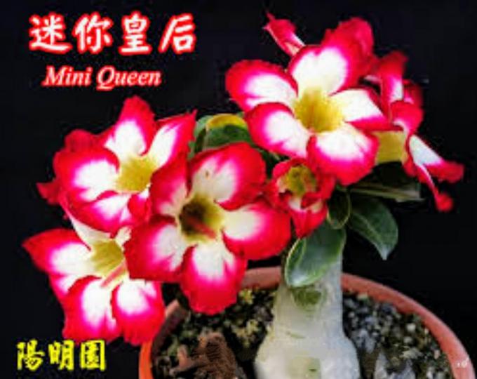 image%3A57573