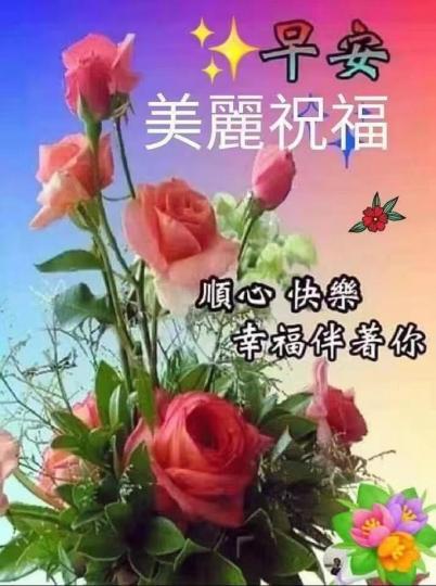 image%3A69011