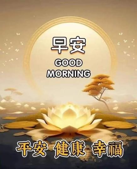 image%3A71311