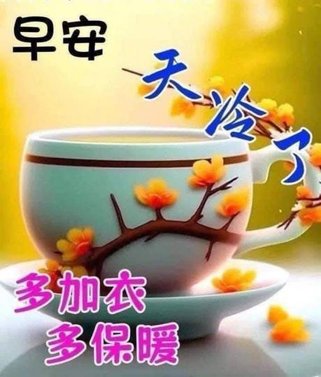 image%3A87486_0