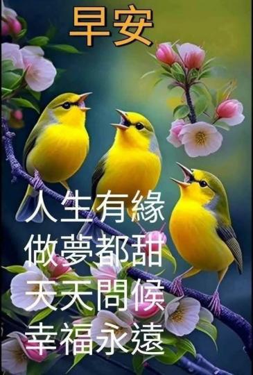 image%3A89719