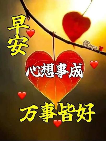 image%3A89969