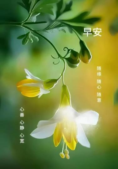 image%3A90071